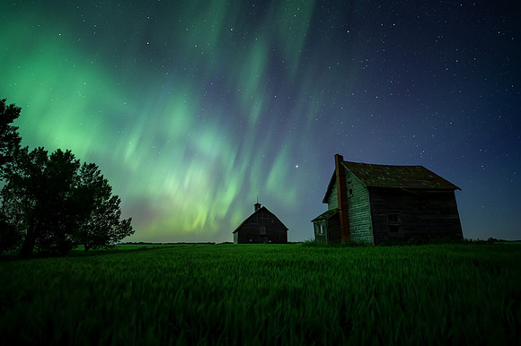 Homestead Aurora