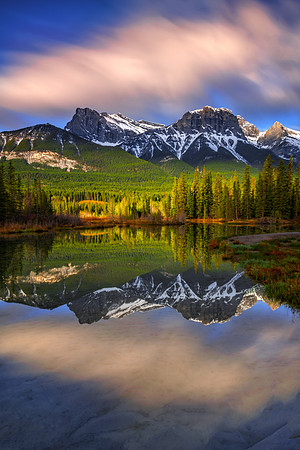 Golden Morning