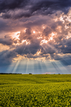 Rays after the Storm