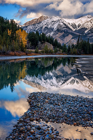 Jasper in Autumn
