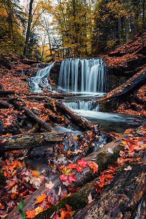 Autumn Tranqility