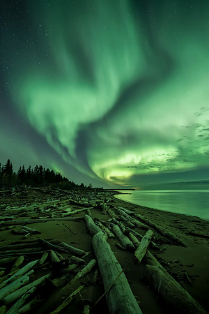Driftwood Beach
