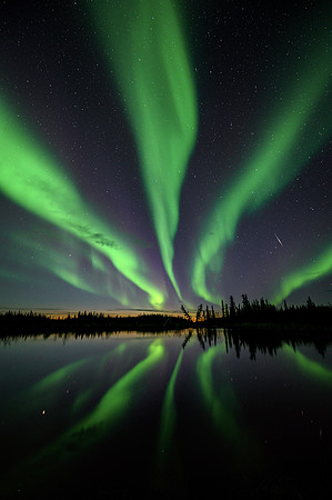 Ribbons of Aurora