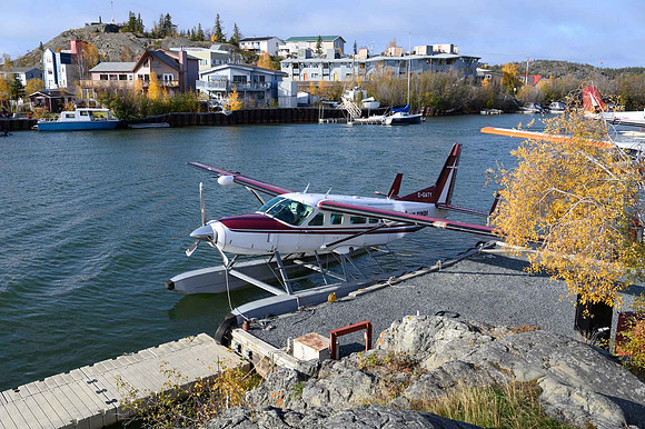 The Bush Plane