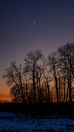 Moonset on an Autumn Night