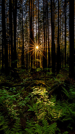 Rays of Hope