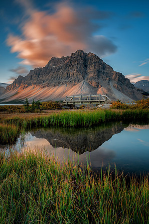 Crowfoot Reflections