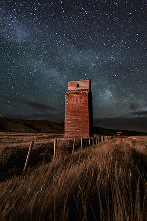 Prairie Sentinel